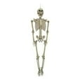thumbnail image 1 of 5 Feet Lifesize Skeleton, 1 of 1