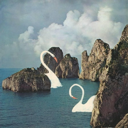 - Lost but not Worried Whimsical Swan Animal Art Print Wall Art By Danielle Kroll