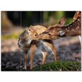 thumbnail image 1 of Deer Ceramic Tile Mural Kitchen Backsplash Bathroom Shower 402723-XL43, 1 of 3