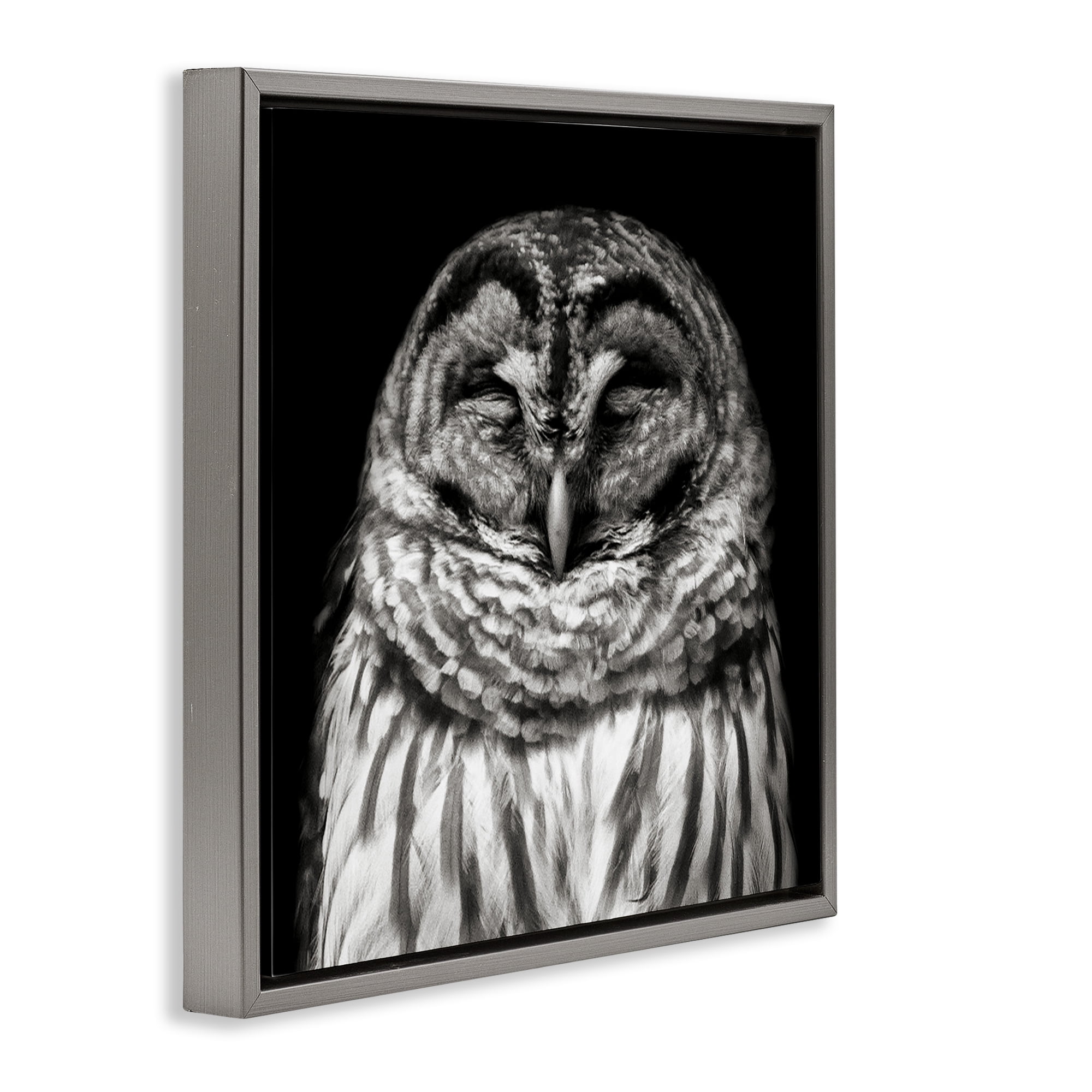 Stupell Industries Sleeping Owl Portrait Animals & Insects Photography Gray Floater Framed Canvas Art Print Wall Art, 18 x 18