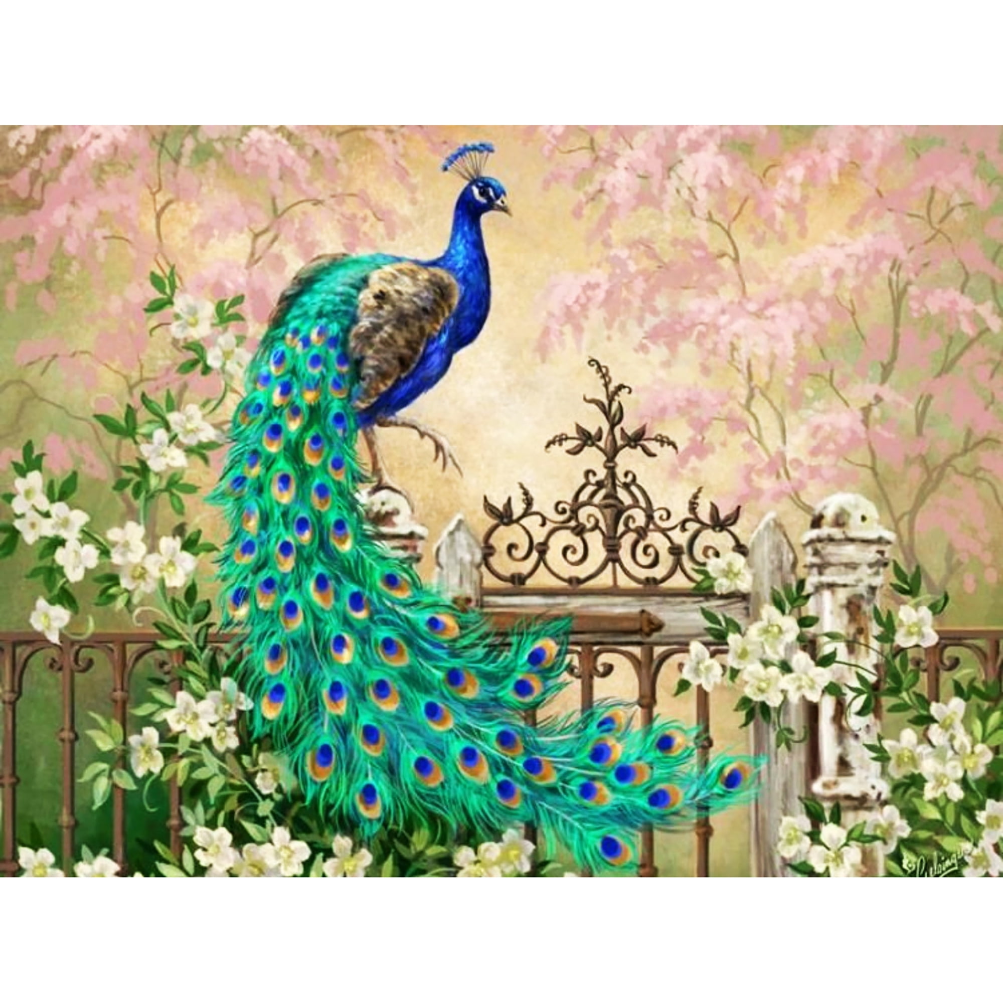 5d Diamond Art Kits for Adults,Peacock Diamond Painting Art Full 