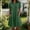 Green, variant on IUYRTFE Women's Short Sleeve Collared Button Down Shirt Dress with Pockets Cotton Linen Loose Fit Summer Casual Midi Dress