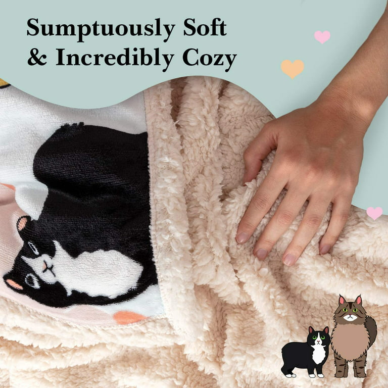 Cat Blanket - 28 Cute Cat Companions on a Sumptuously Soft 50x60 Inch Cat  Lover Throw Blanket - The Most Beloved Cat Gifts for Cat Lovers Everywhere  