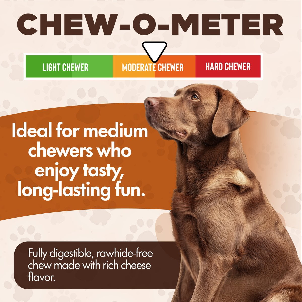Scoochie Pet Chewka Cheese Flavored Plant-Forward Fully Digestible Dog Chew Bone, Large, 3CT