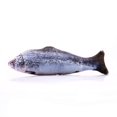 thumbnail image 4 of POINTERTECK Creative Carp Catnip Stuffed Pillow Fish Plush Cat Toy Playing Pet Accessories, 4 of 8