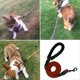 thumbnail image 5 of Cuerda de tracción elástica para perros que pasean - Cuerda de tracción de nailon para perros grandes y medianos, 5 of 6