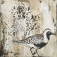thumbnail image 3 of Hakimipour, Tiffany 20x20 Black Modern Framed Museum Art Print Titled - Couture Sandy Shore II, 3 of 5