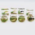 thumbnail image 4 of SDFGTstore Exquisite Mini Glass Fish Tank Aquarium Scene Model for Dollhouse Collectors, 4 of 17