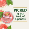 Del Monte Red Grapefruit in 100% Juice, 20 oz. Bowl - Walmart.com