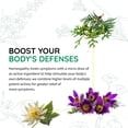 thumbnail image 5 of Tabletas para aliviar la congestión BHI Sinus Natural 100 tabletas, 5 of 5