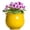 Yellow, variant on Ordivic 6 inch Vintage Brown Self Watering Ceramic African Violet Pot with Inner Pot,Indoor Porch Planter for ZZ Plant,Cactus ,Shelf,Table Decor