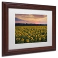 thumbnail image 3 of Trademark Fine Art "Sunflower Taps" Canvas Art by Michael Blanchette Photography White Matte, Wood Frame, 3 of 3