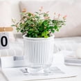 thumbnail image 3 of Self Watering Plant Pot Plastic Flower Pot with Water Reservoir Wick Ropes Modern Indoor Planter for Home Office Desktop, 3 of 8