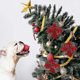 thumbnail image 3 of 10 piezas de adornos de flor de Pascua con purpurina, adornos para árbol de Navidad, colgante para árbol de Navidad, flores artificiales de Navidad, decoración de corona navideña para árbol de Navidad, 3 of 5