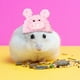 thumbnail image 4 of Gorro de punto para hámster, adorable gorro para mascota pequeña, con correa ajustable, diseño de ranas, conejos y zanahorias, plegable y portátil, de lana suave, ideal para hámsteres y, 4 of 8