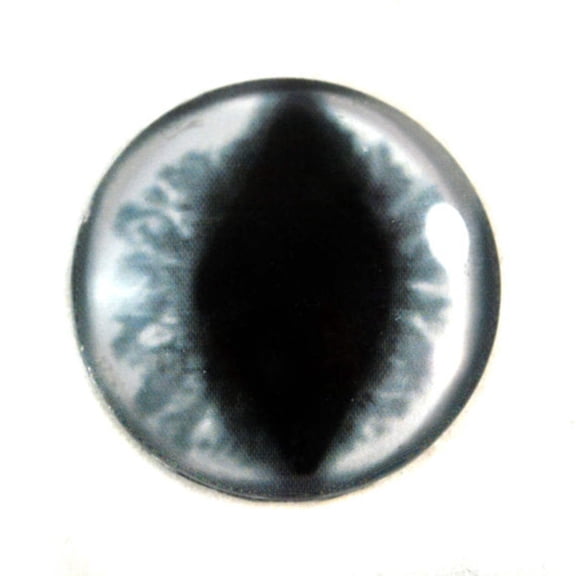 White Cat or Dragon Glass Eyes