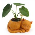 thumbnail image 3 of Resina nórdica chica cabeza escultura Cactus florero maceta contenedor Decoración, 3 of 9