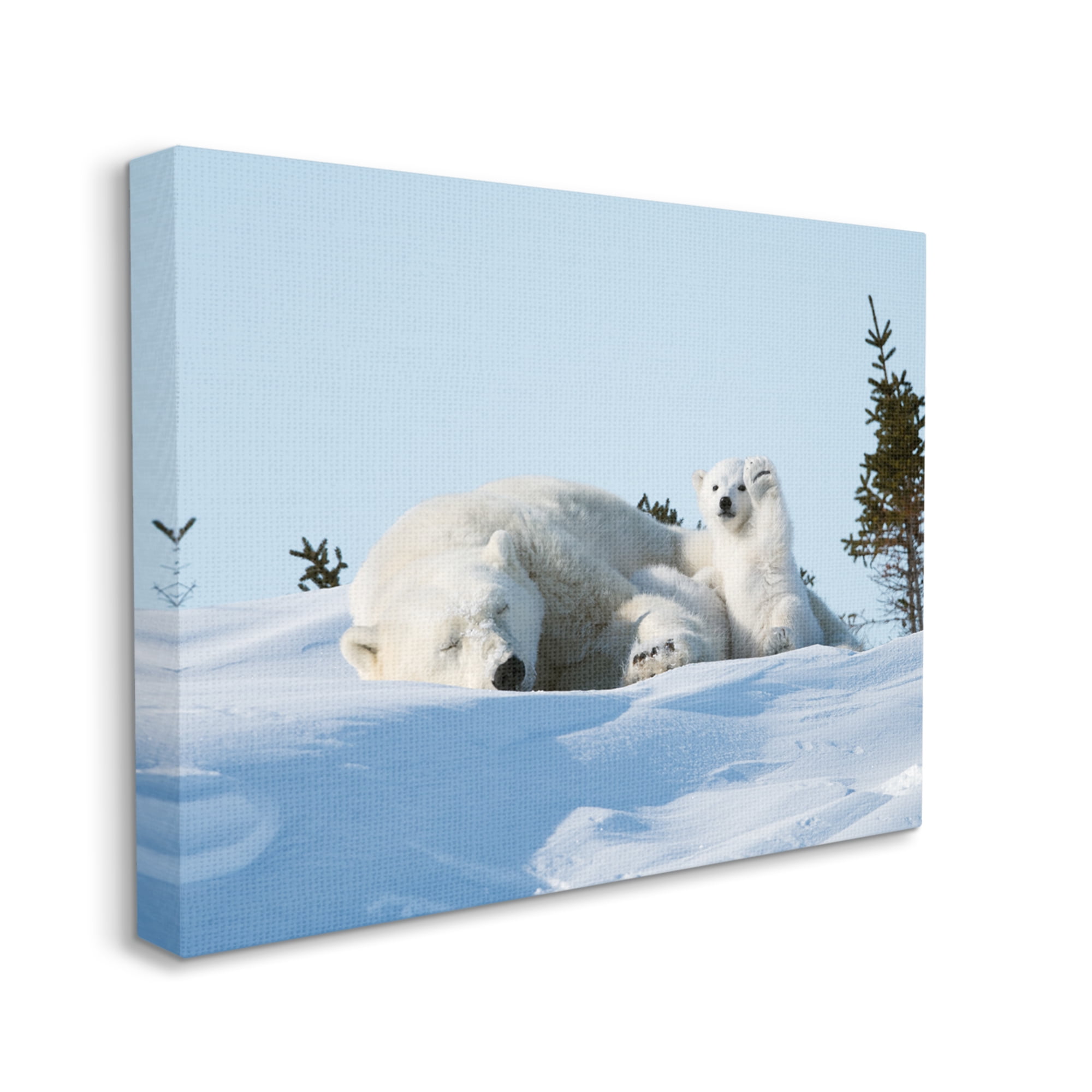 Stupell Industries Polar Bear Cub with Mom Animals & Insects Photography Gallery Wrapped Canvas Art Print Wall Art, 48 x 36