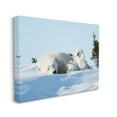 thumbnail image 4 of Stupell Industries Polar Bear Cub with Mom Animals & Insects Photography Gallery Wrapped Canvas Art Print Wall Art, 20 x 16, 4 of 8