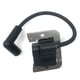 thumbnail image 1 of Riwesomey Bobina de encendido para cortacésped doméstico, accesorios para cortacésped, suministros para equipos de jardinería, reemplazo para Jardín y Patio, 1 of 6
