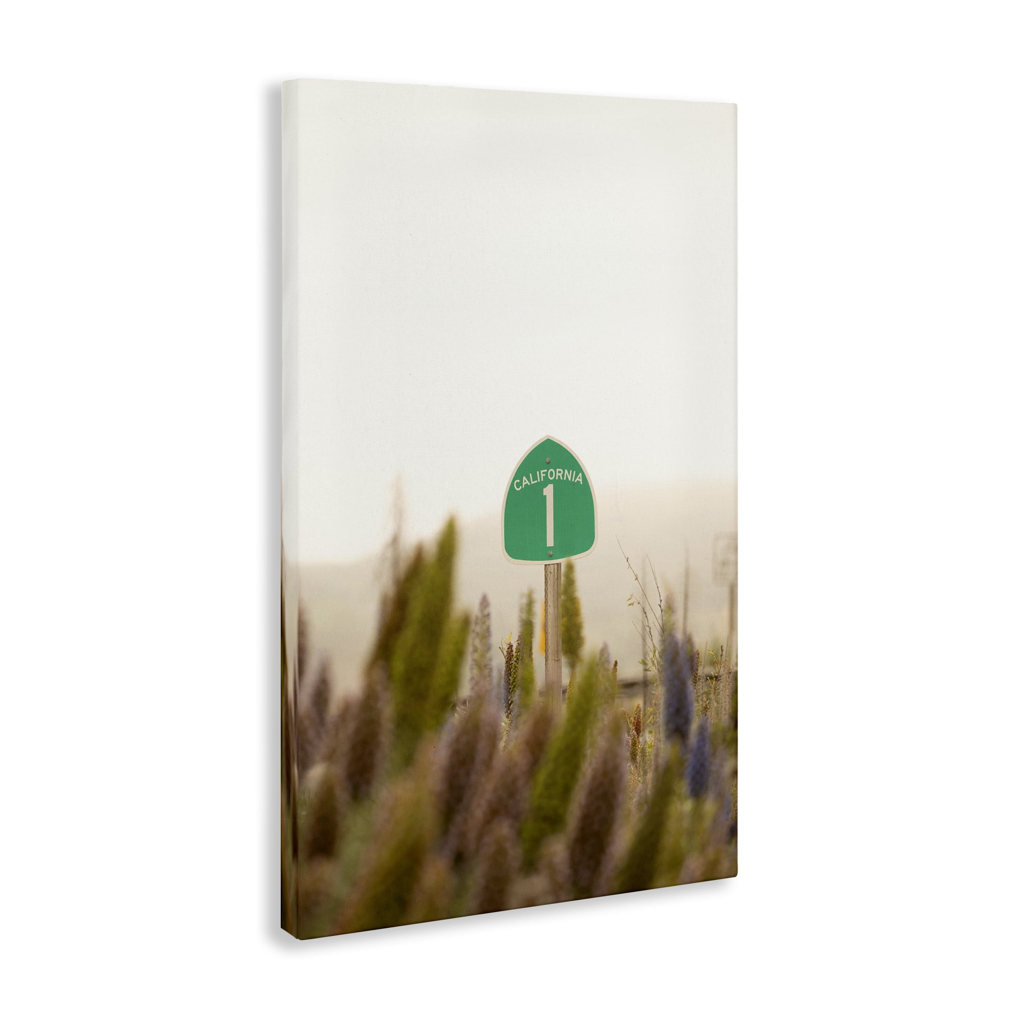 Stupell Industries California Road Sign View Landscape & Nature Photography Wrapped Canvas Art Print Wall Art, 16 x 24