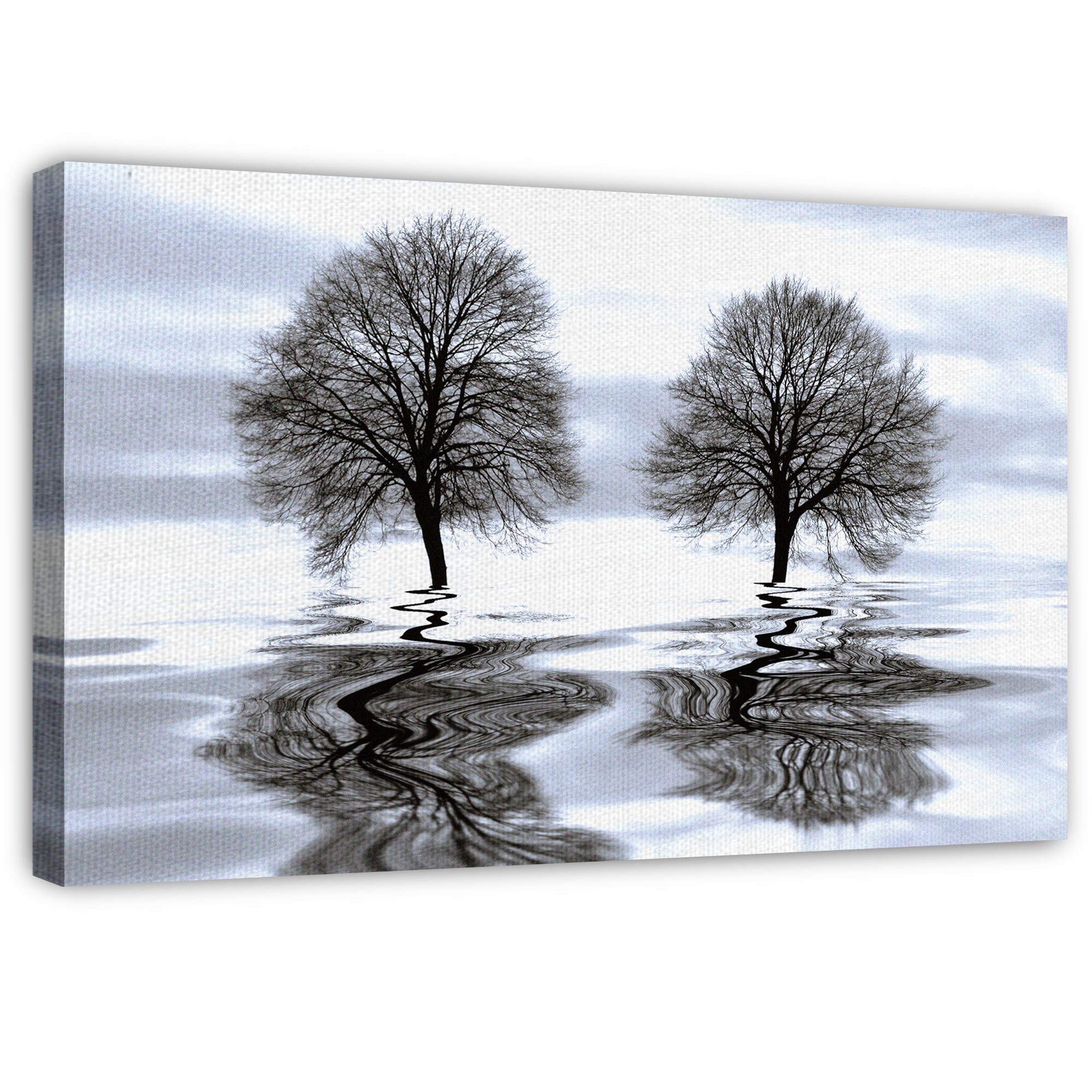 Masterpiece Art Gallery Imagine Tree Reflection by Ilona Wellmann Canvas Photo Art Print 24" x 36"