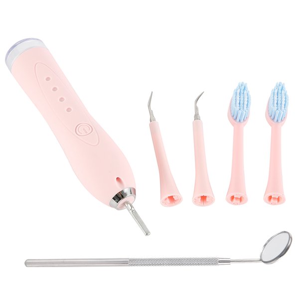 Everso Inductive Charging Sonic Oral Electronic Power Toothbrushes