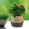 thumbnail image 3 of Cesta de almacenamiento tejida de algas marinas naturales BuyWeek plegable, 3 of 9