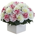 thumbnail image 4 of Carnation Arrangement w/Vase, 4 of 10