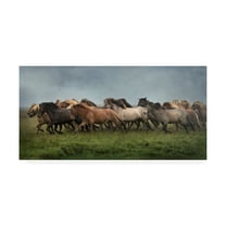 Trademark Fine Art 'Icelandic Horses XIII' Canvas Art by PHBurchett