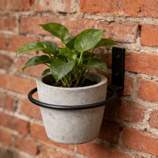 4 Piezas Soporte para Macetas Soporte de Anillo Montado en Pared Colgador de Jardín Organizador de Metal para Plantas Adecuado para Balcón Jardín 6 pulgadas
