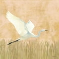 thumbnail image 2 of Lovell, Kathrine 15x15 White Modern Wood Framed Museum Art Print Titled - Egret Alighting II, 2 of 4