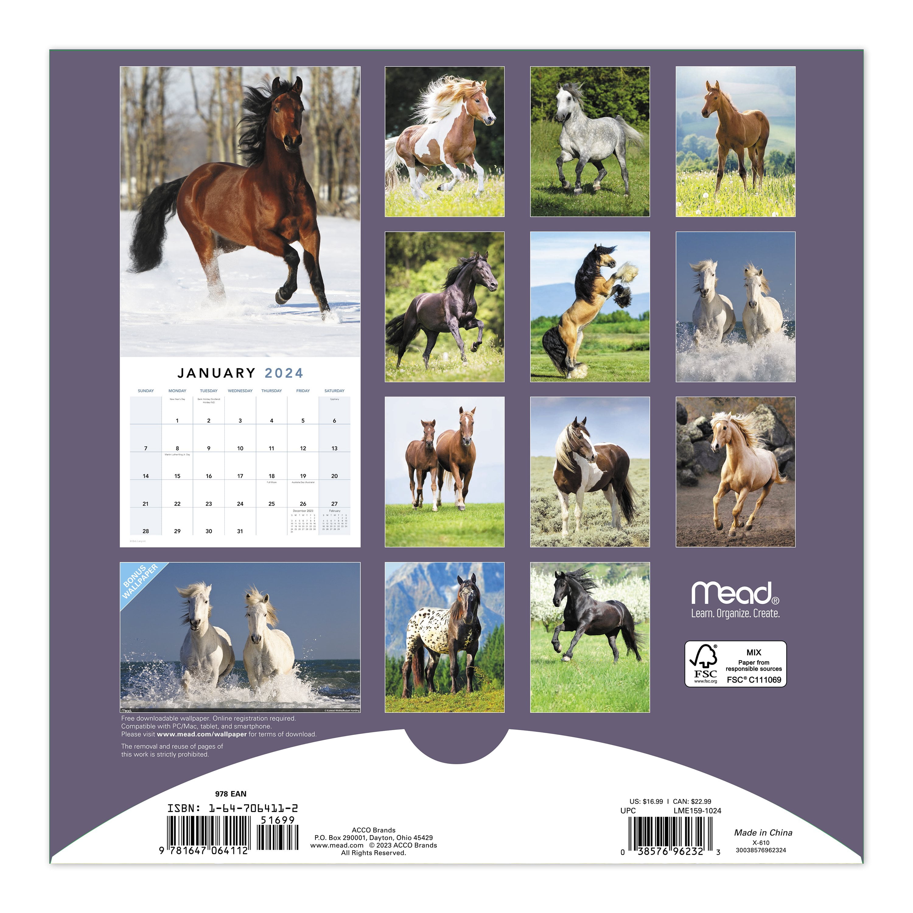 Horses 2024 Monthly Wall Calendar 12 x 12 - Wall Calendars