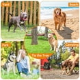 thumbnail image 3 of X XBEN Dog Tie Out Cable for Large Dogs, 15ft Heavy Duty Dog Cable Chain Up to 250lbs, Reflective Dog Lead Leash for Outside, Yard, Camping, (Silver, 250lbs 15ft), 3 of 5