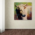thumbnail image 3 of Trademark Fine Art 'White Bull Portrait' Canvas Art by Marion Rose, 3 of 3
