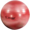 25cm Pilates Mini Ball (Plus Workout DVD)