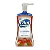 Henkel Dial Complete 0 Foaming Hand Soap