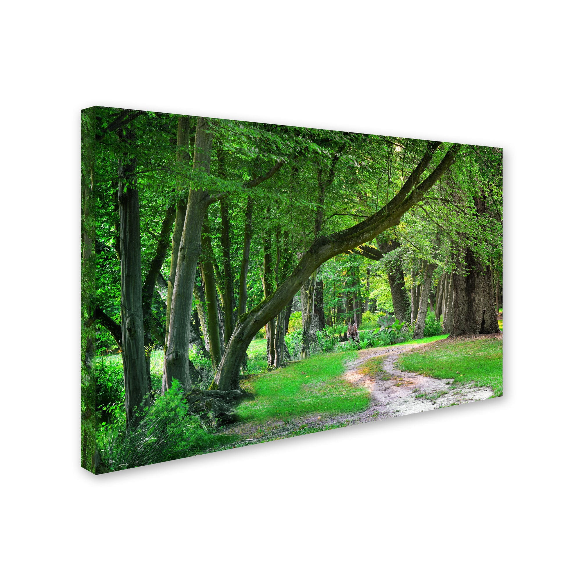 Trademark Fine Art "Intimate Landscape" Canvas Art by Philippe Sainte-Laudy