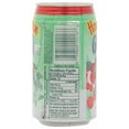 thumbnail image 3 of Hawaiian Sun Green Tea Lychee with Ginseng, 11.5 Fl. Oz., 6 Count, 3 of 9