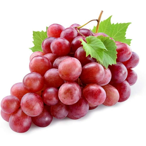 20+ Red Concord Grape Seeds - Grow Grape Vines for Wine Making, Fruit ...