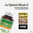 thumbnail image 4 of Herba Boswellia Serrata Capsules with Bromelain Supplement – 120 Boswellia Capsules | 3,330mg – 10:1 Boswellia Extract with Black Pepper for Absorption | Made in Canada, 4 of 8