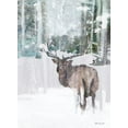 thumbnail image 2 of Stellar Design Studio 14x18 White Modern Wood Framed Museum Art Print Titled - Grand Elk 2, 2 of 4