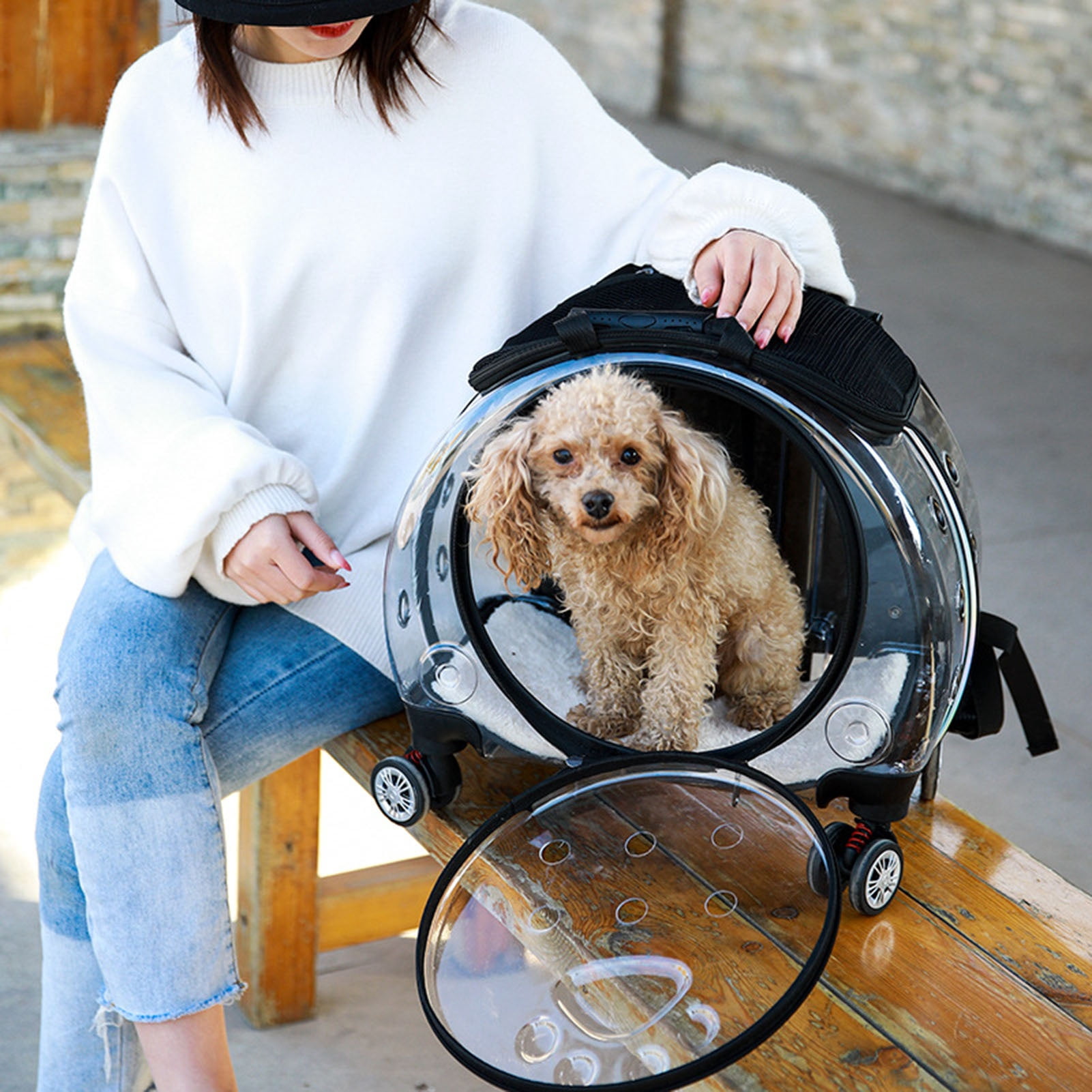 Wharick Pet Trolley Case Cat Backpack Transparent Cat Carrier with Wheels Pet Backpack for Traveling/Taking a Walk for Dogs, Cats, Parrots
