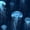 Color 2, variant on Peel and Stick Wallpaper Coastal Blue Jellyfish Marine Life Nautical Wall Mural 23.6in x 9.8ft Self Adhesive Removable Wall Paper Renter Friendly Wallpaper for Nursery Bedroom Cabinets