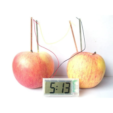 Stem Nut Clock - Digital Desk Clock based on Science. Great for kids' room. Science experiment. Generate Electricity Clock,. Science kit. Product Size: 6.61 x 10.82 x 2.20