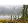 thumbnail image 2 of Paulson, Don 18x13 White Modern Wood Framed Museum Art Print Titled - WA, Mount Rainier NP Trees and lake in mist, 2 of 4