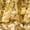 Gold, variant on Sholeno Girls Sparkly Sequins Tassel Dance Leotards with Bell-Bottom Pants Disco Party Jazz Hip Hop Dancewear Purple 16
