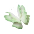 thumbnail image 2 of relayinert Artificial Butterfly 3D 60cm for Wedding DIY Window Decorations Shop Green Display Green 60cm, 2 of 6