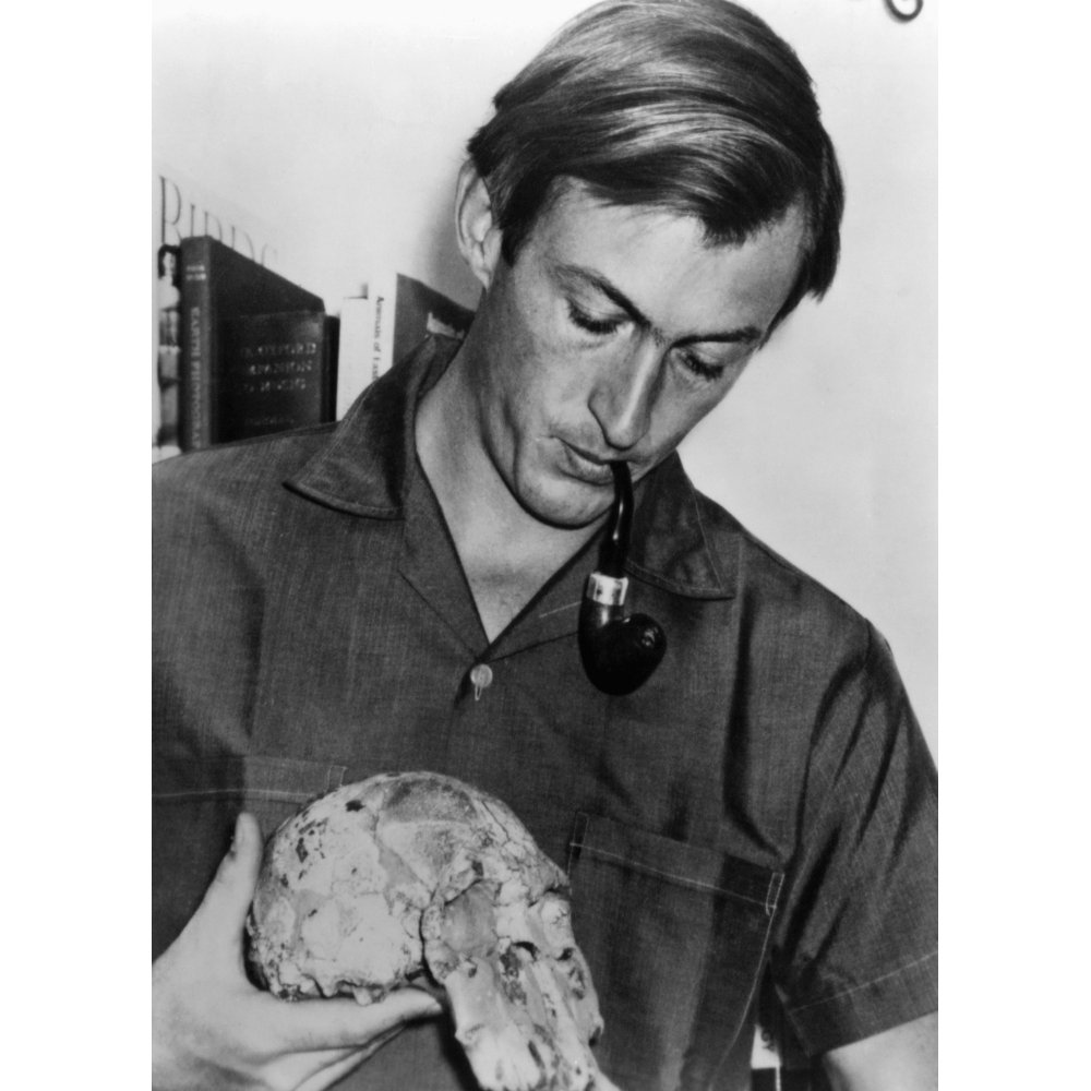 Richard Leakey History (18 x 24) - Walmart - Walmart