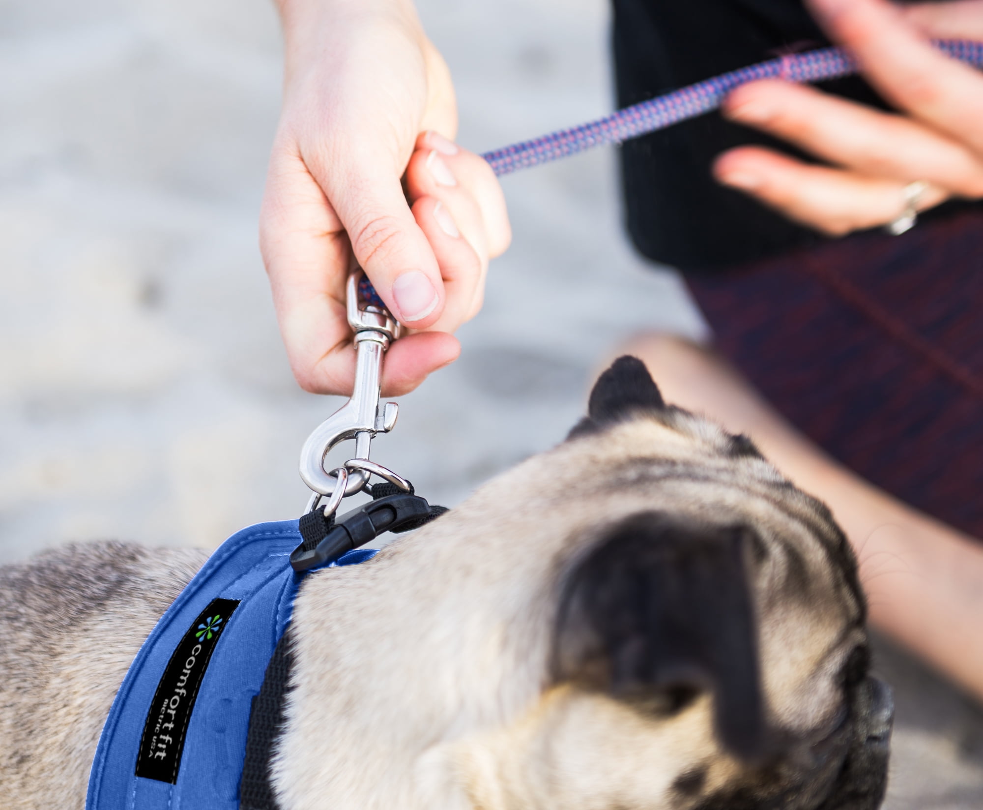 comfort fit metric dog harness